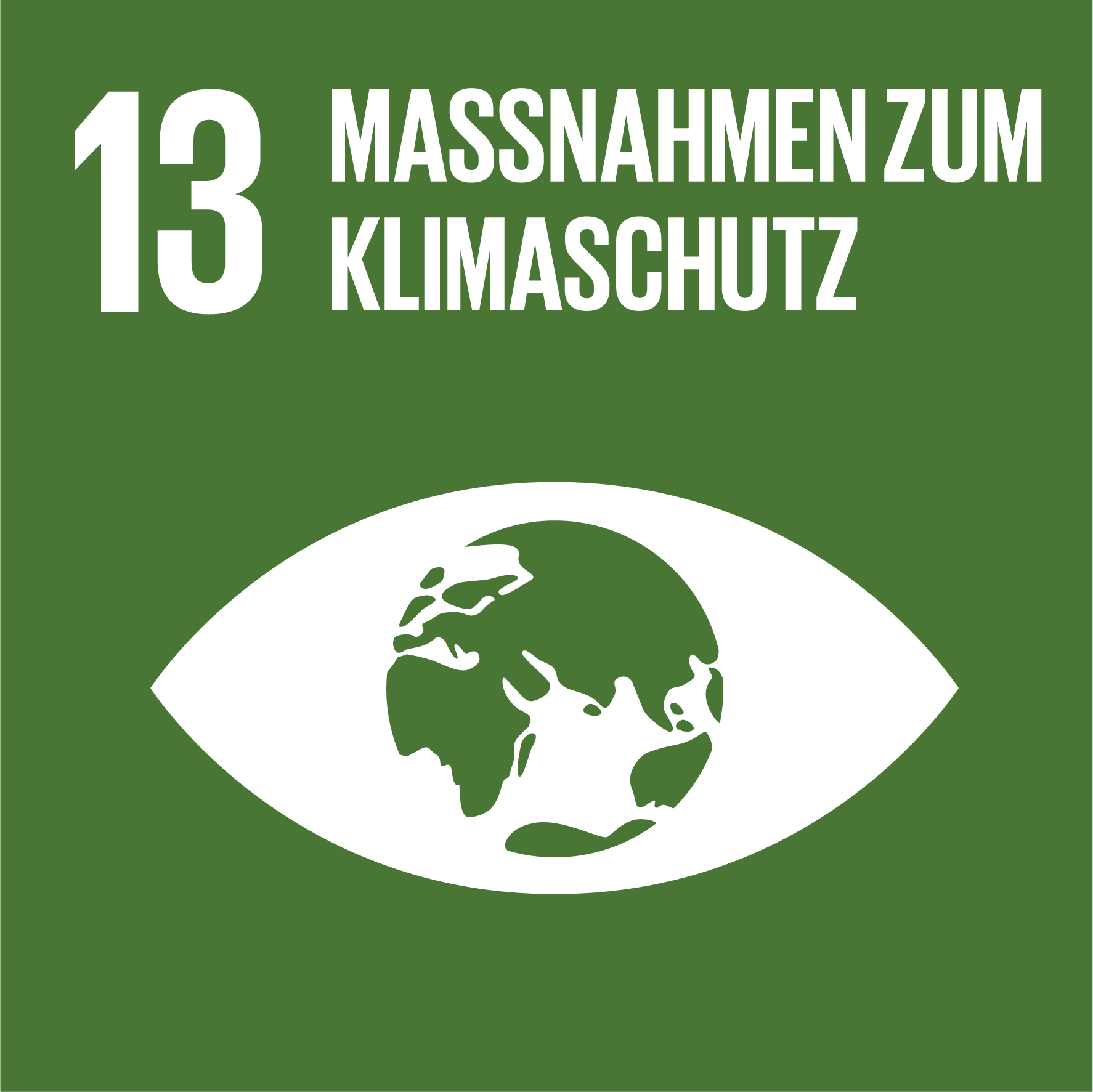 SDG icon-DE-13